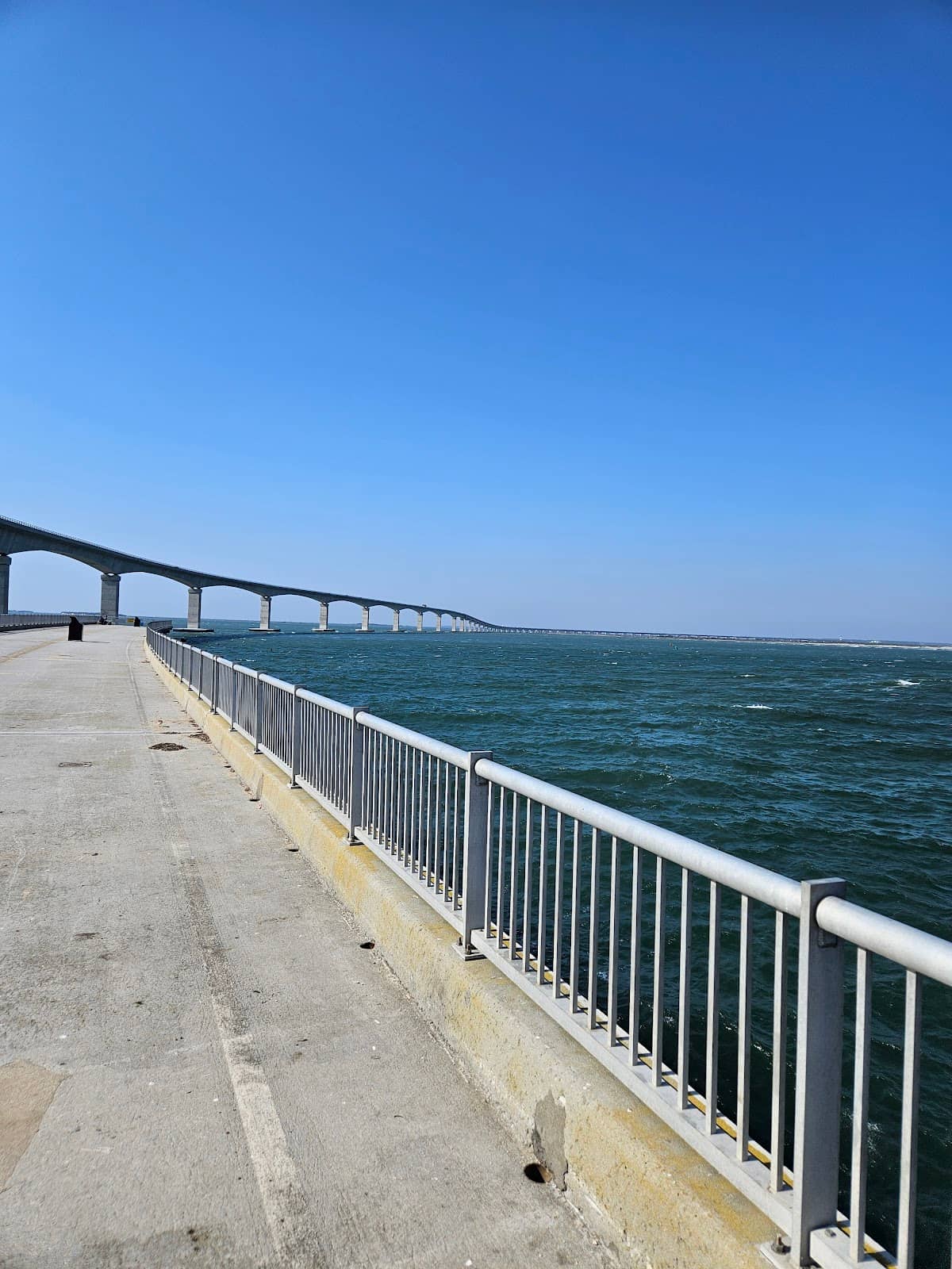 Exploring the Inlet Shoreline