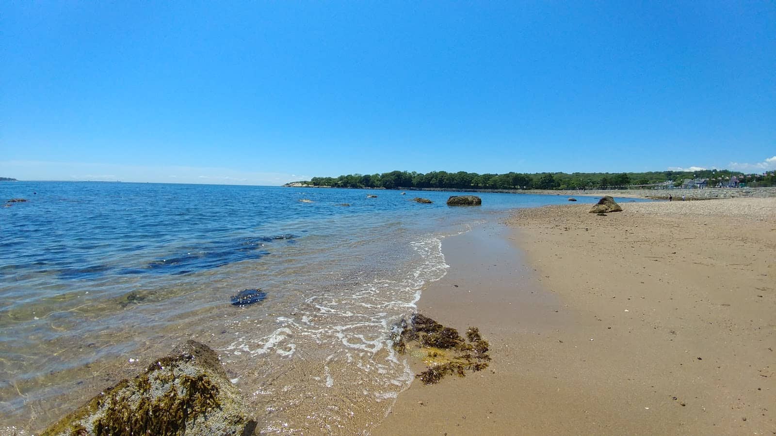 Coastal Views & Wildlife