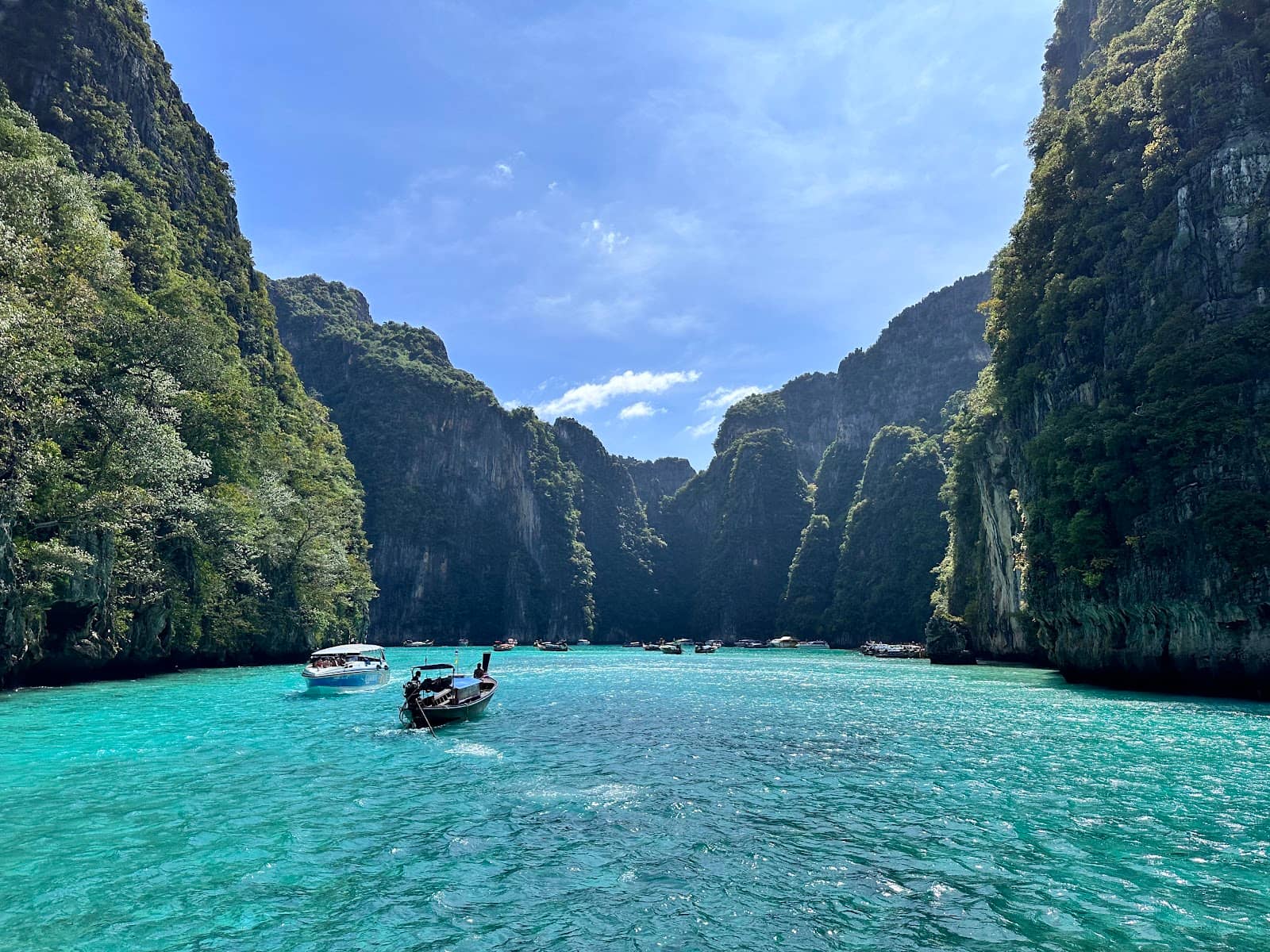 Vibrant Underwater World