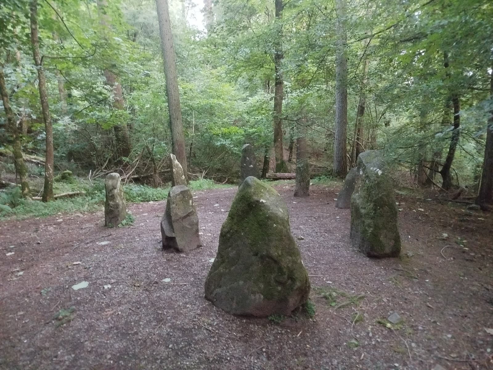 Ravensdale Forest Park - Image 1