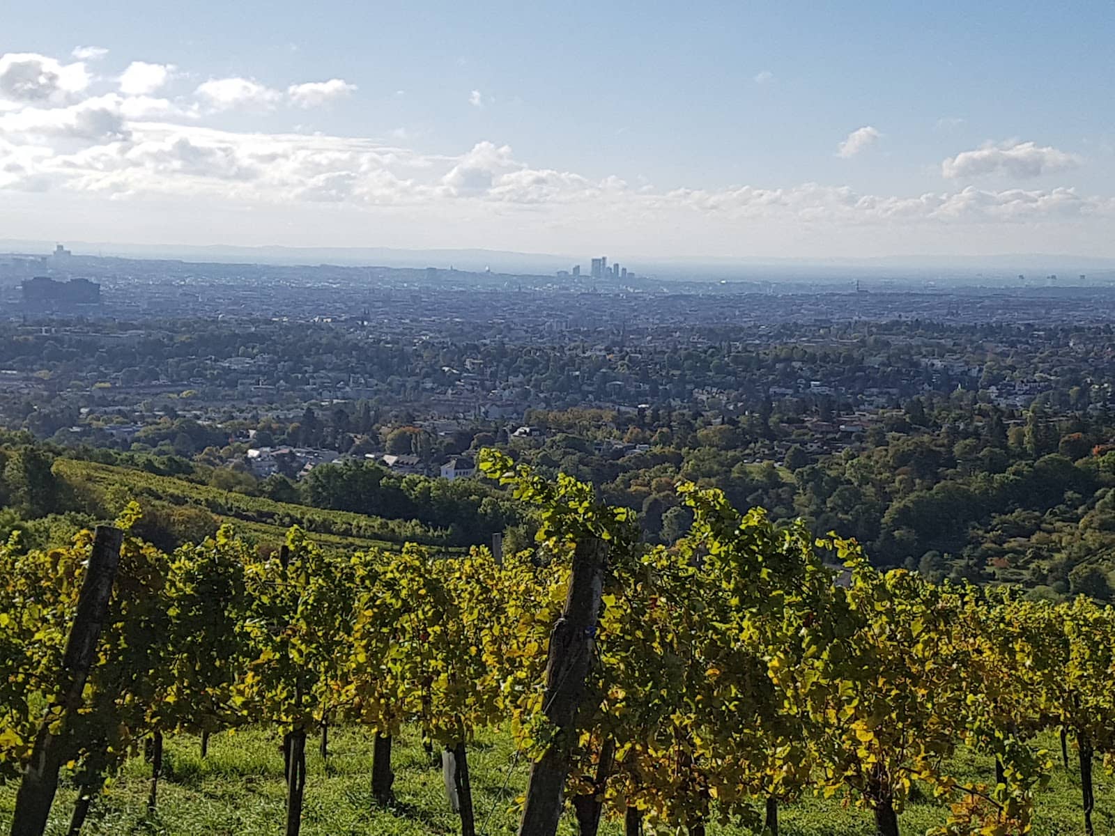 New Year's Eve Celebration