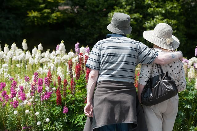 Lower Gardens - Image 1