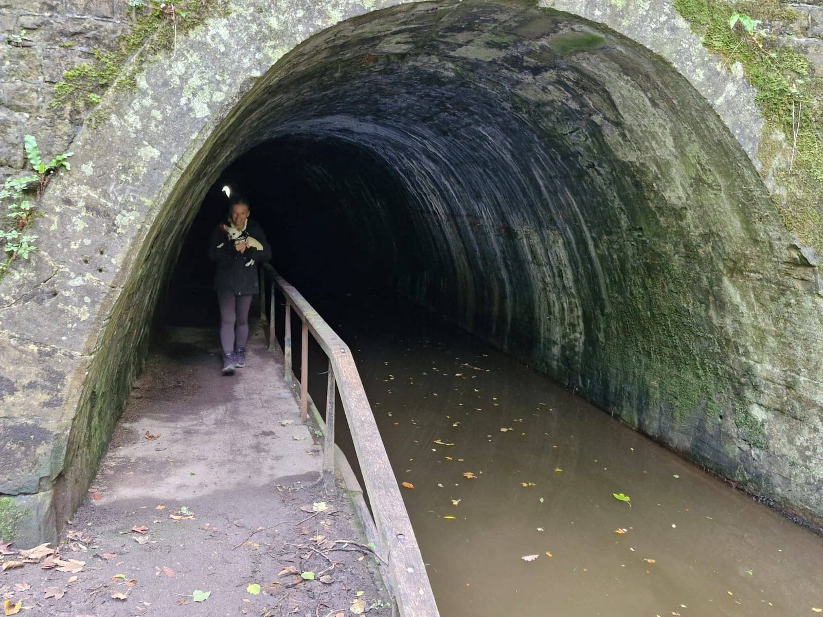 Llangollen Canal Towpath Walk