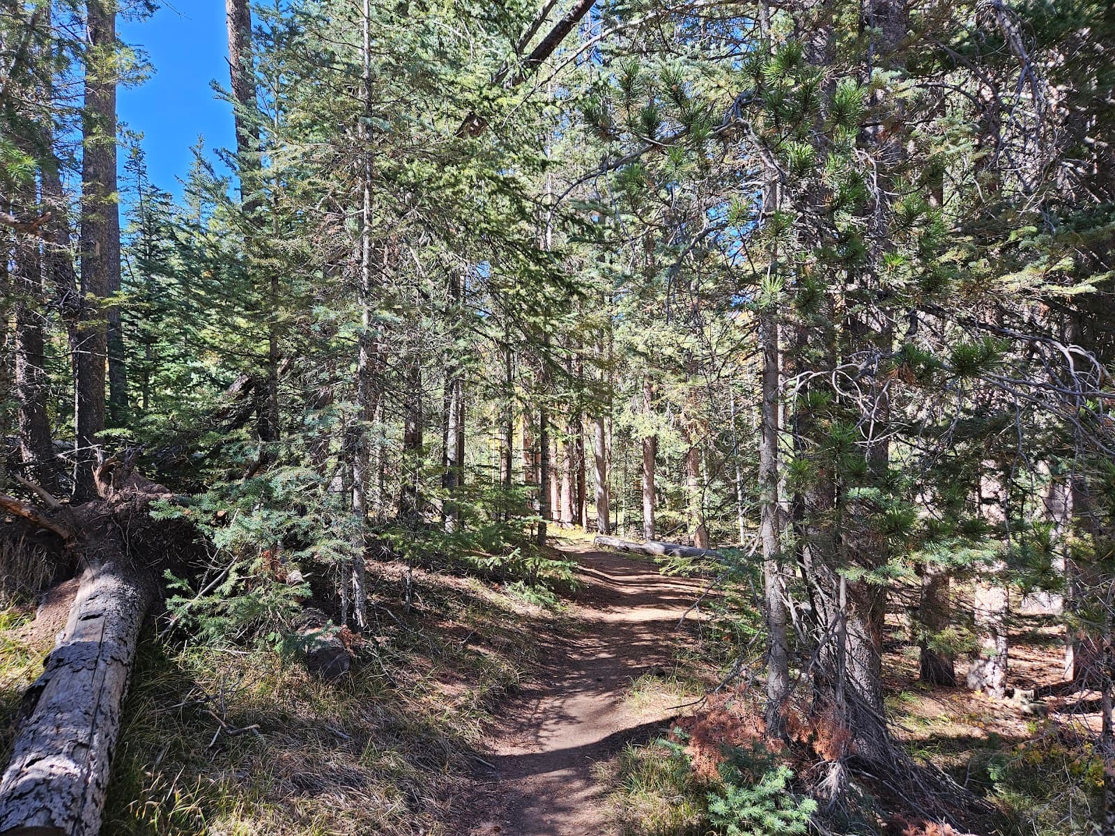 Happy Jack Recreation Area - Image 1