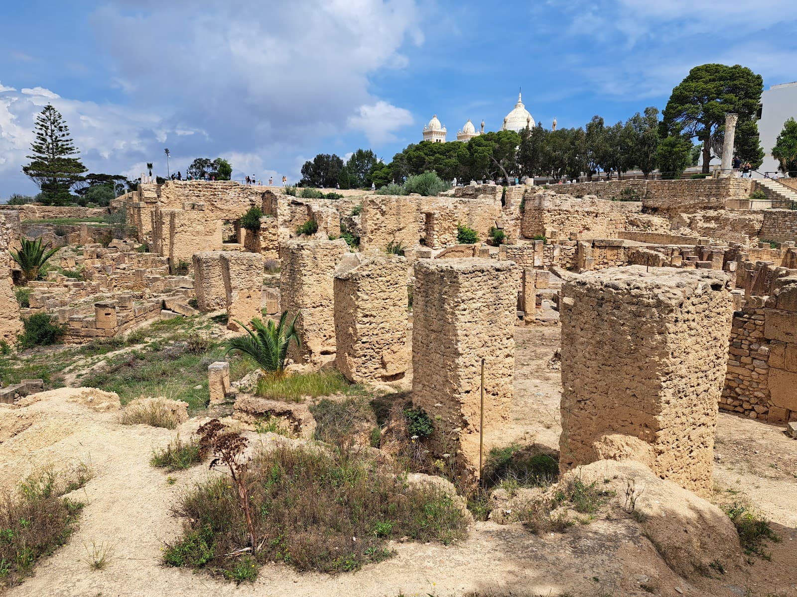 Carthage National Museum (Byrsa Hill) - Image 1