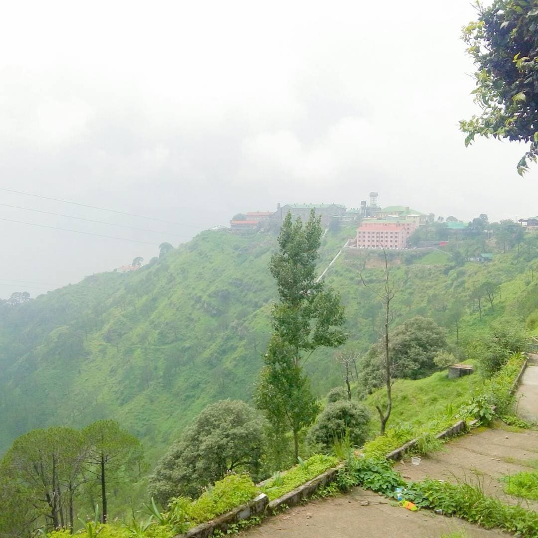 Lover's Lane - Image 1