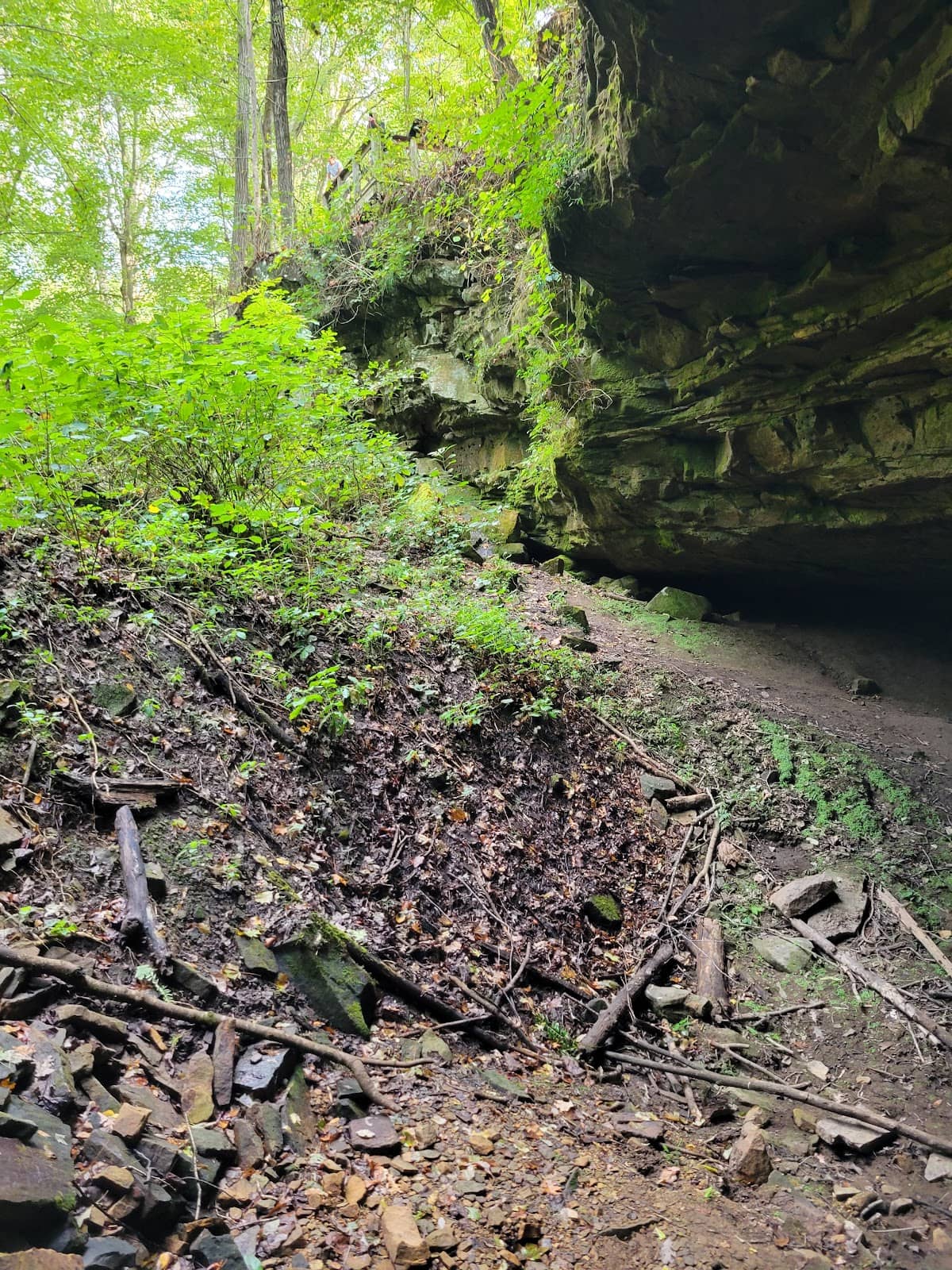 Vertical photo