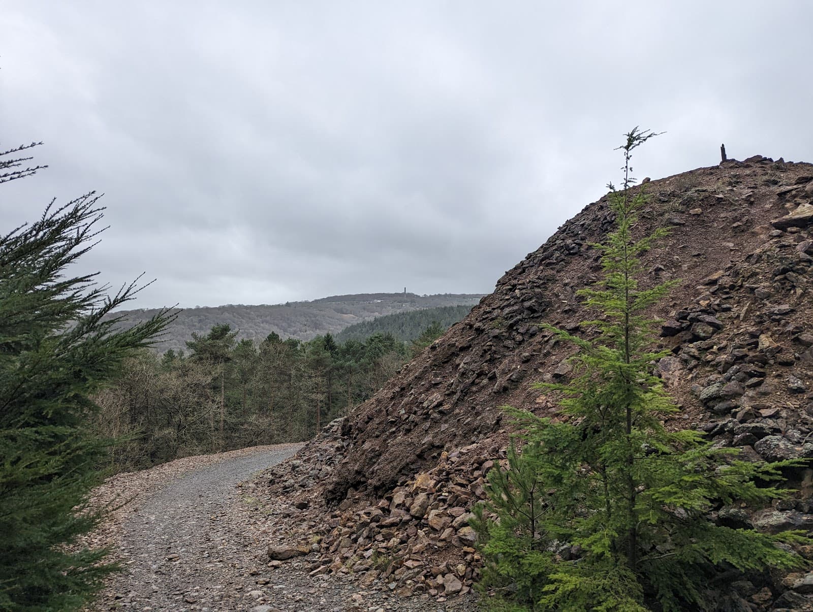 Tamar Valley AONB - Image 1