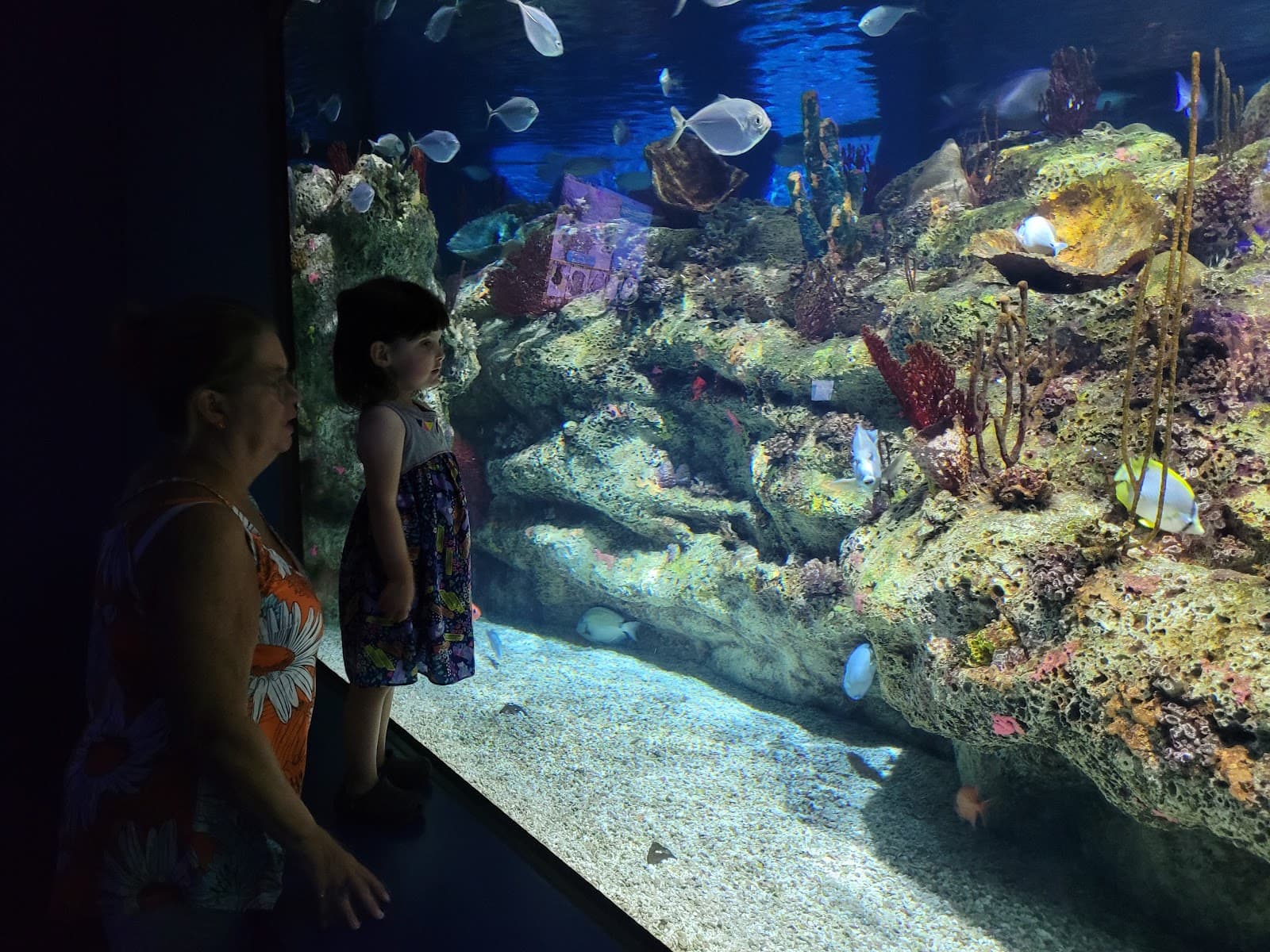 North Carolina Aquarium at Fort Fisher - Image 1