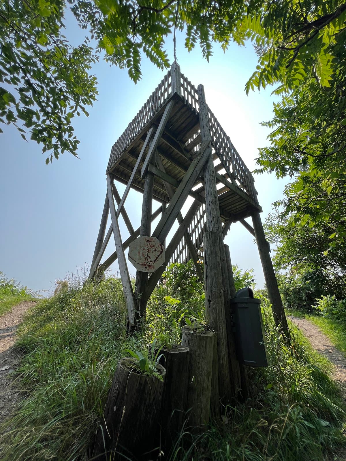 McGeachy Pond Conservation Area - Image 1