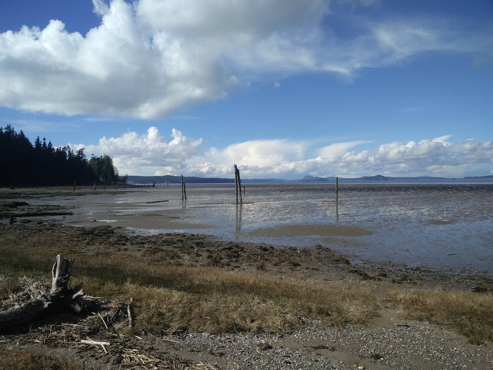 Sand Flat Beachcombing