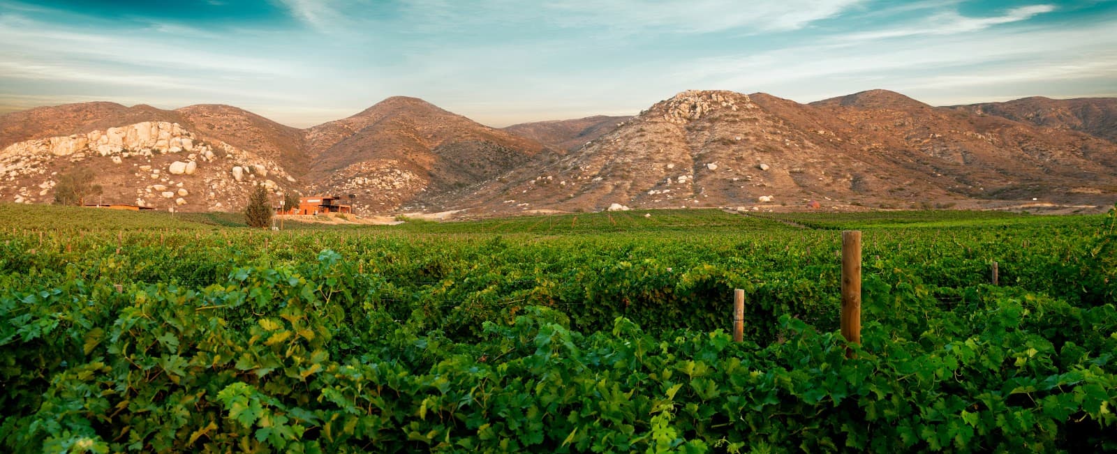 Villa Montefiori Paoloni - Image 1