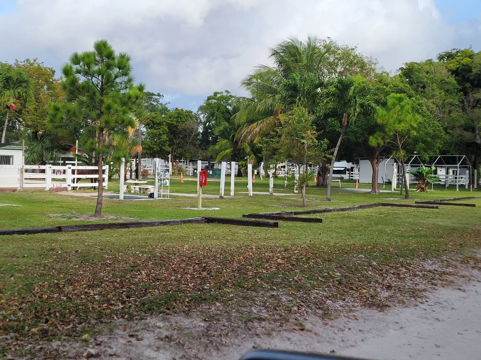 Enjoying the Horses