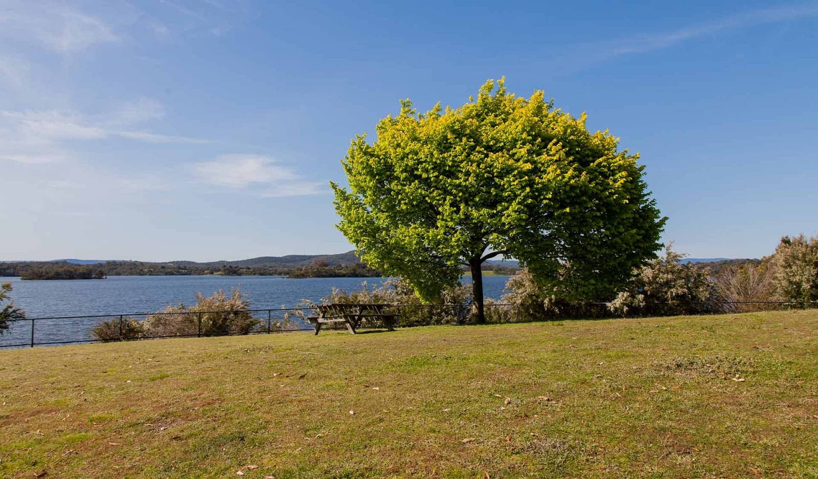 Picnic and BBQ Areas