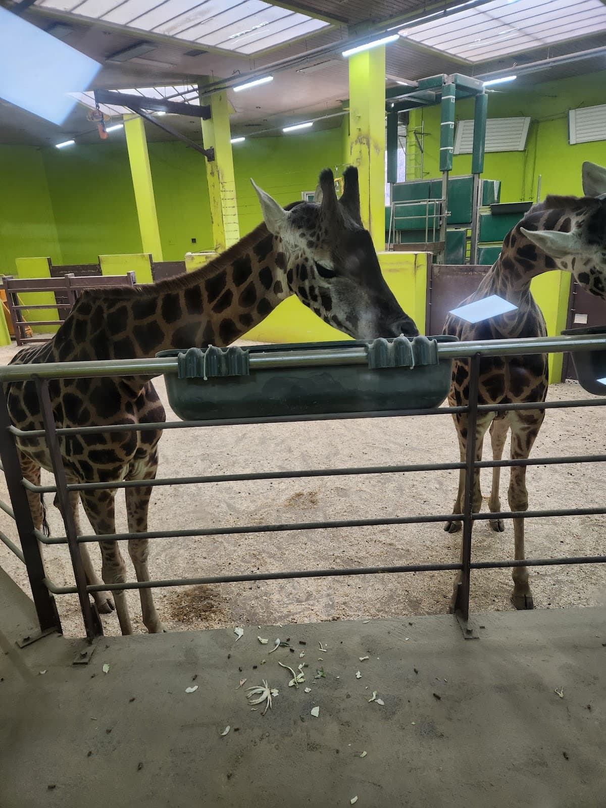 Grand Park Restaurant Seoul Grand Park Gwacheon-si - Image 1