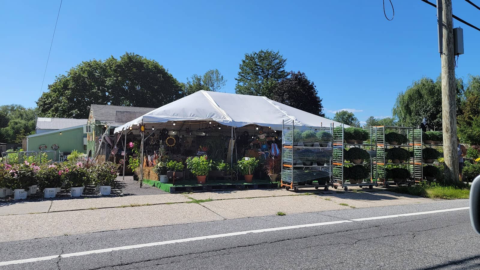 Unique Local Treasures