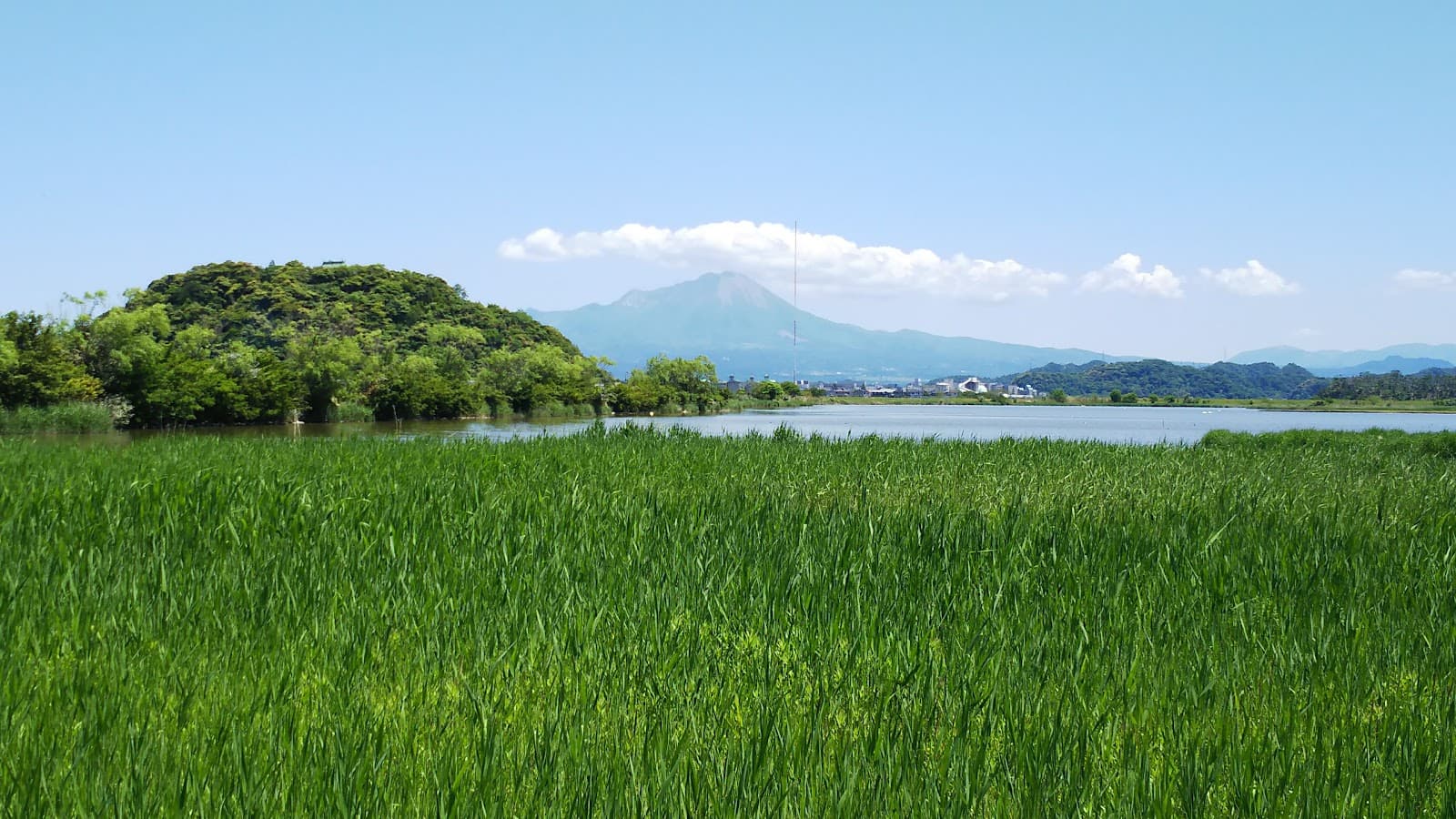 Yonago Waterbirds Sanctuary - Image 1