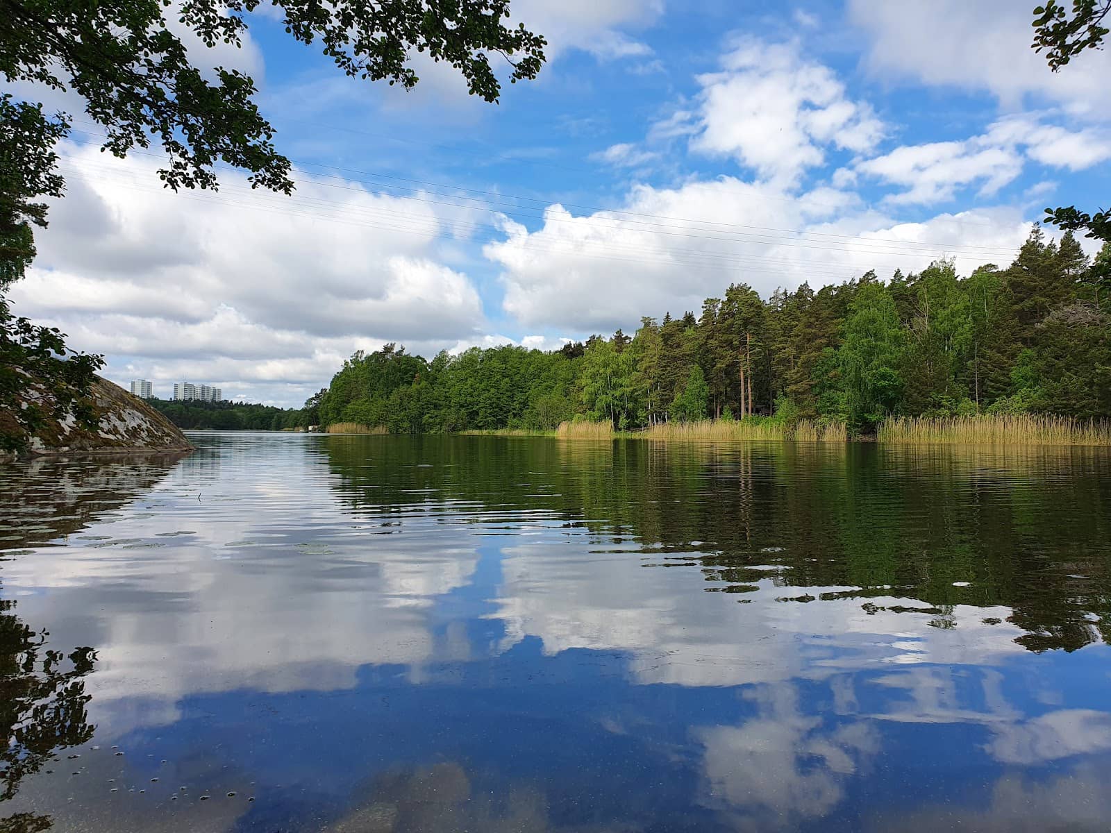 Open Water Swimming
