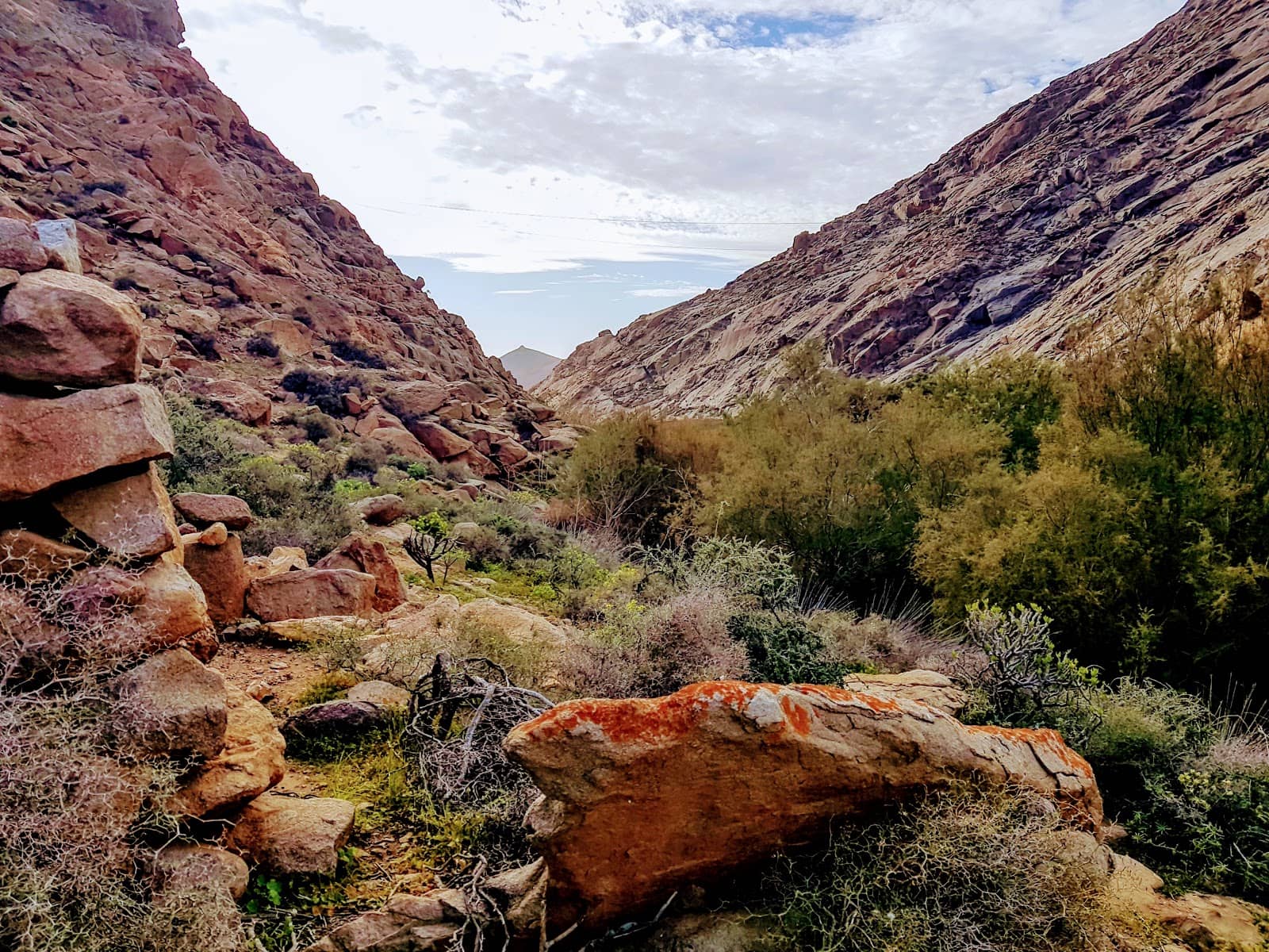 Desert Canyon Landscape