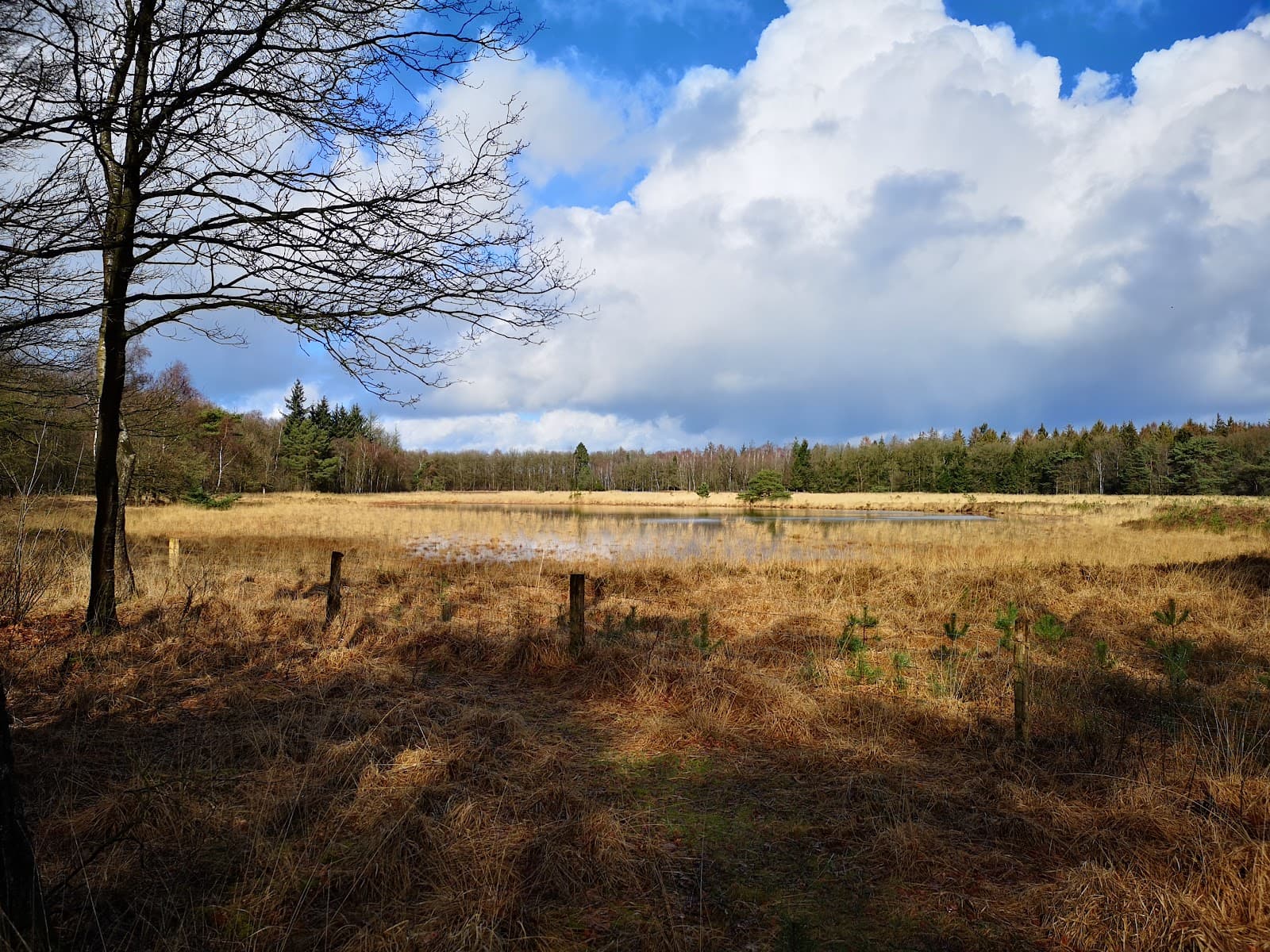Drents-Friese Wold National Park - Image 1