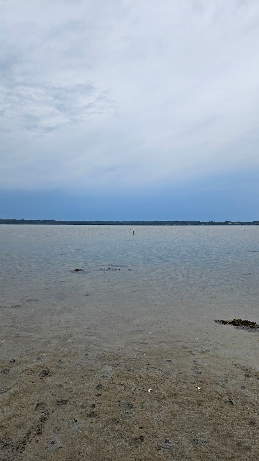 Ahl Hage - Image 1