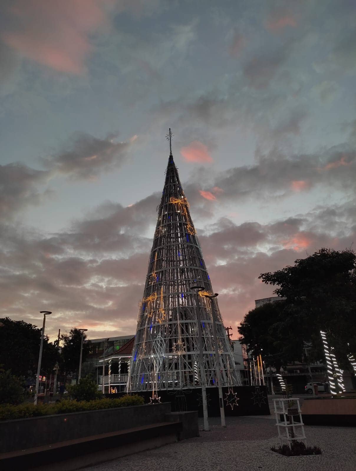 Local Flavors & Street Food