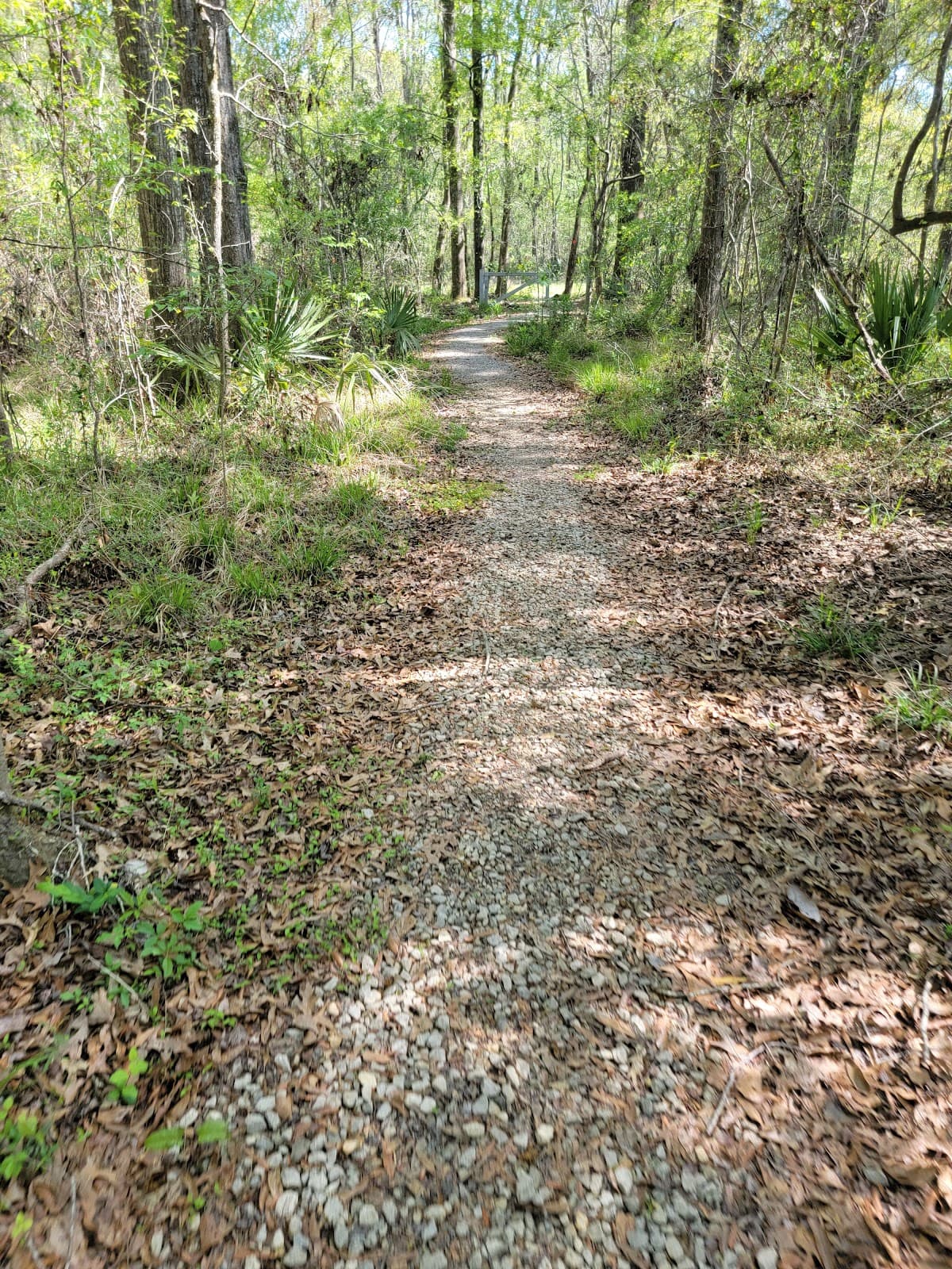 Hooper Road Park Trails - Image 1