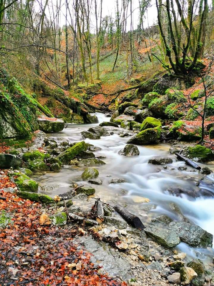 Gorges du Furon - Image 1