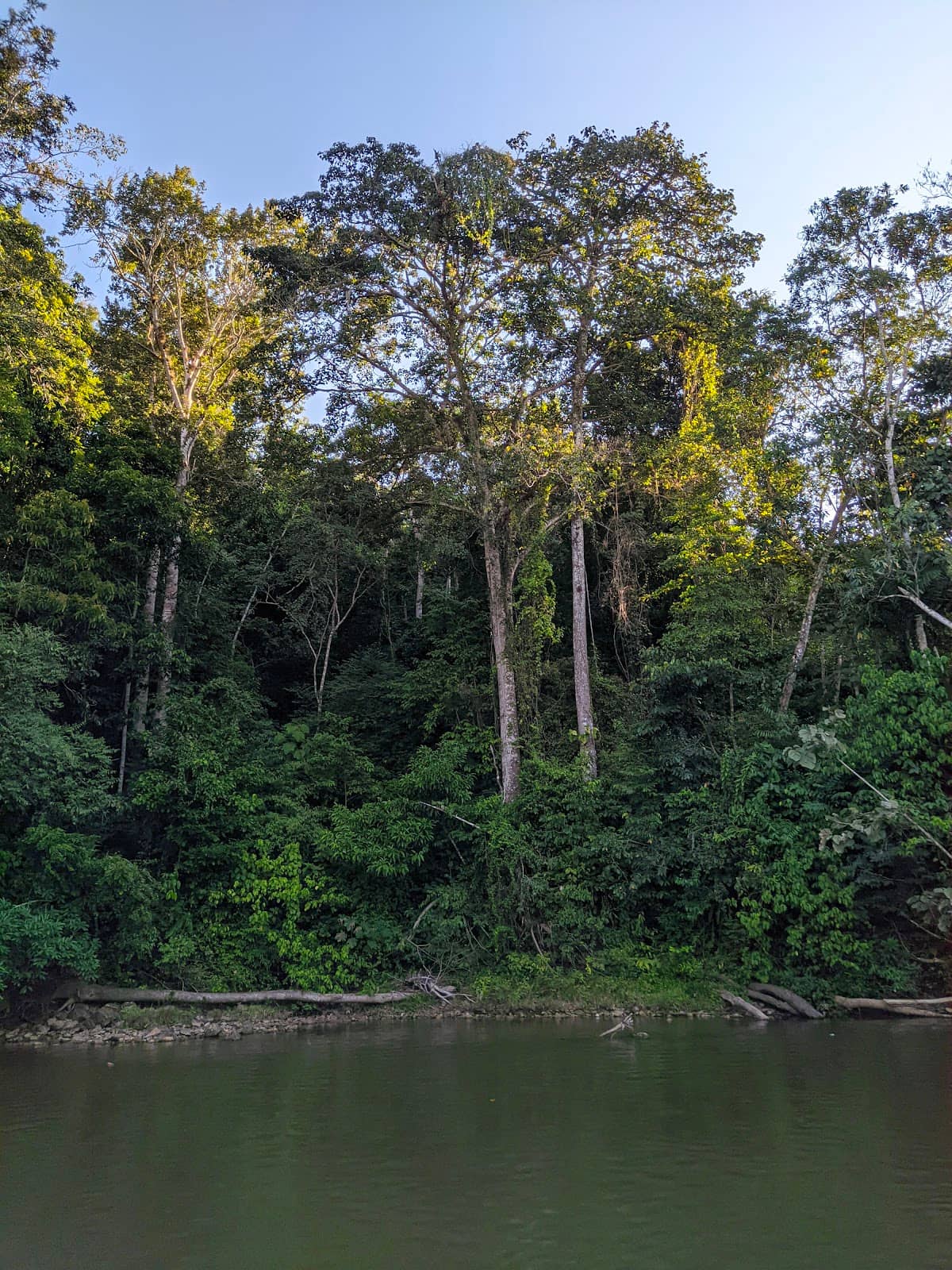 Local Flora and Fauna