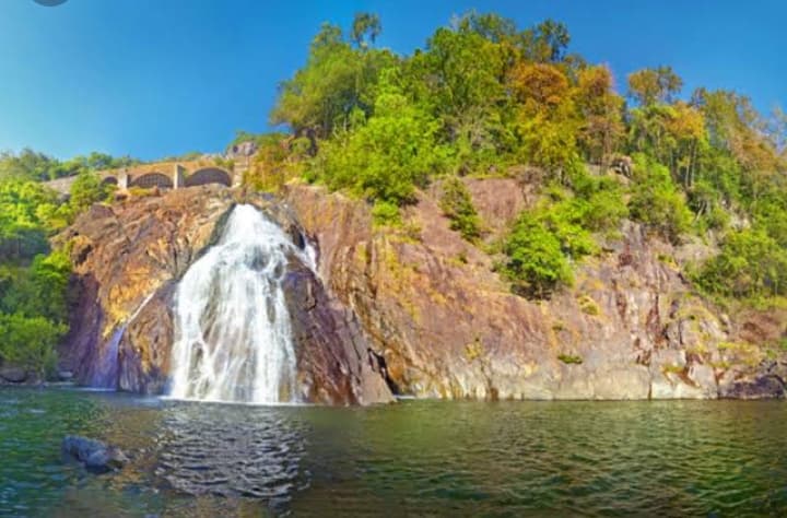 Bhagwan Mahavir Wildlife Sanctuary Mollem Goa - Image 1