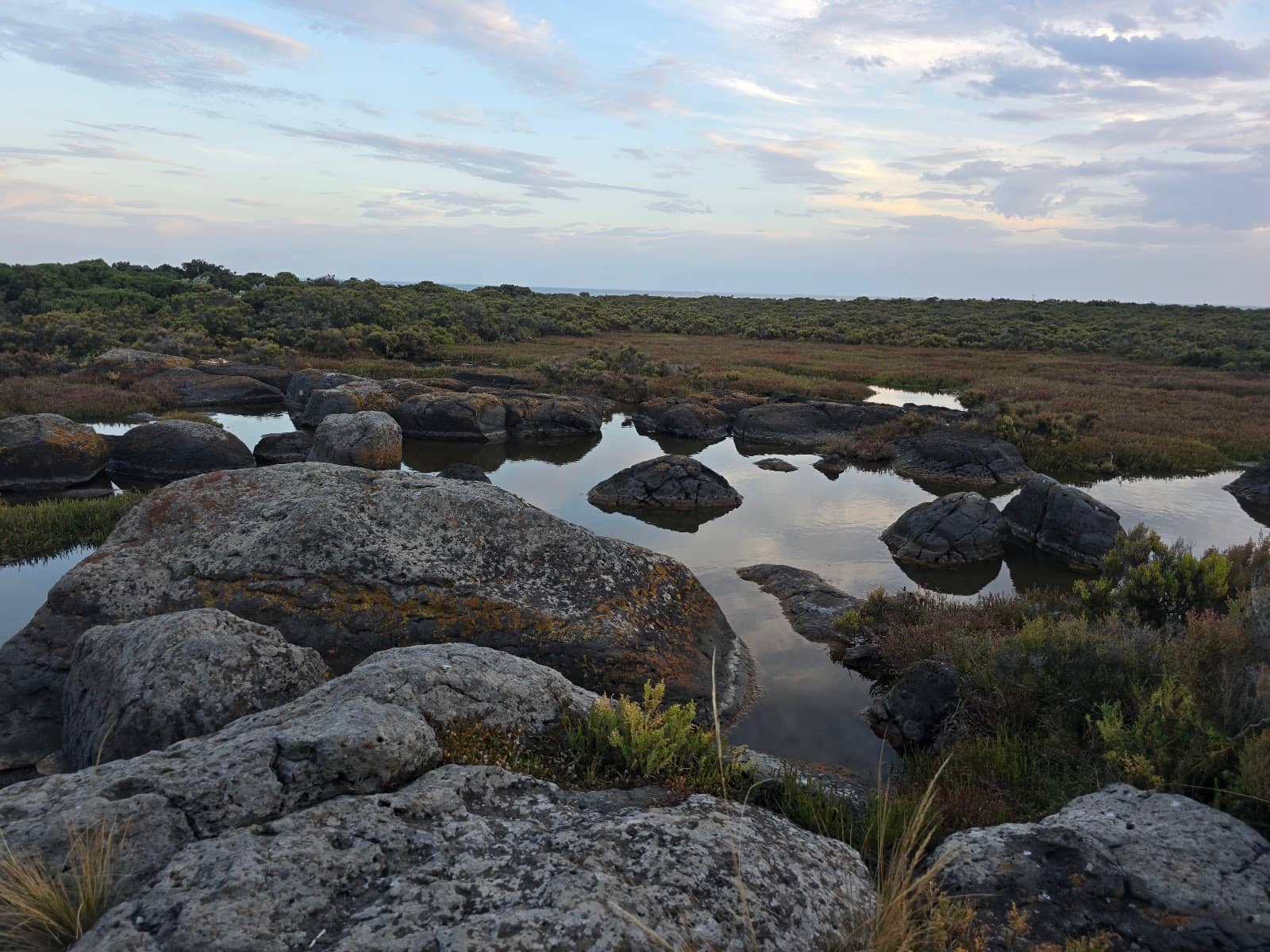 Scenic Foreshore Walk