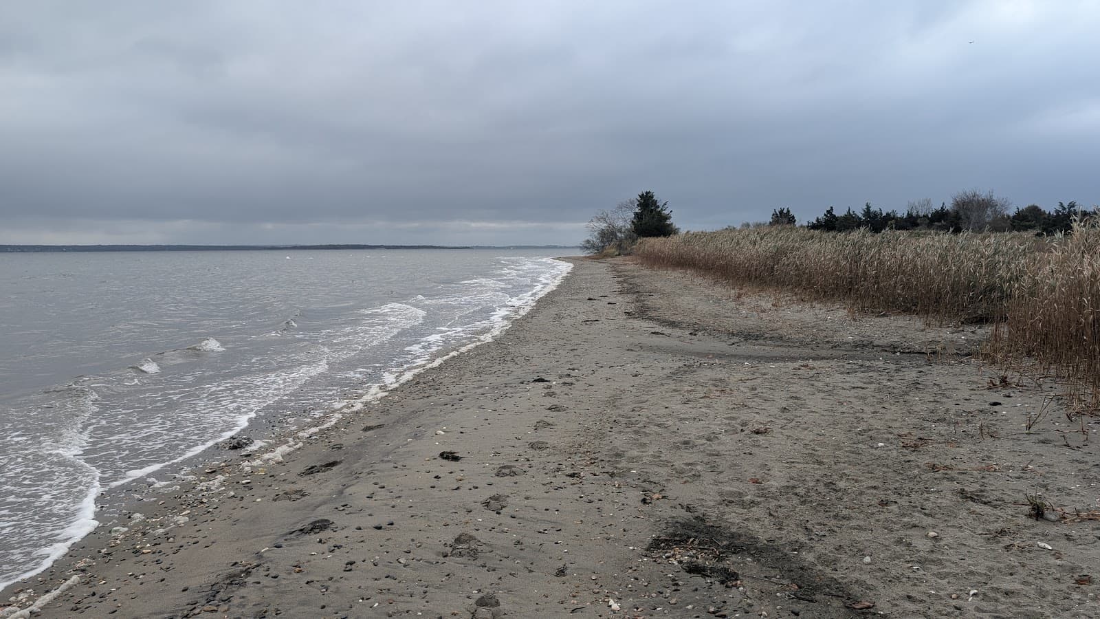Calf Pasture Point Trail - Image 1