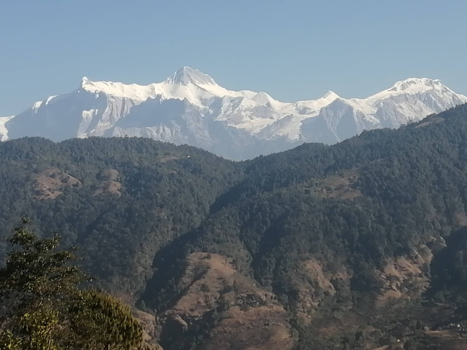 Vertical photo