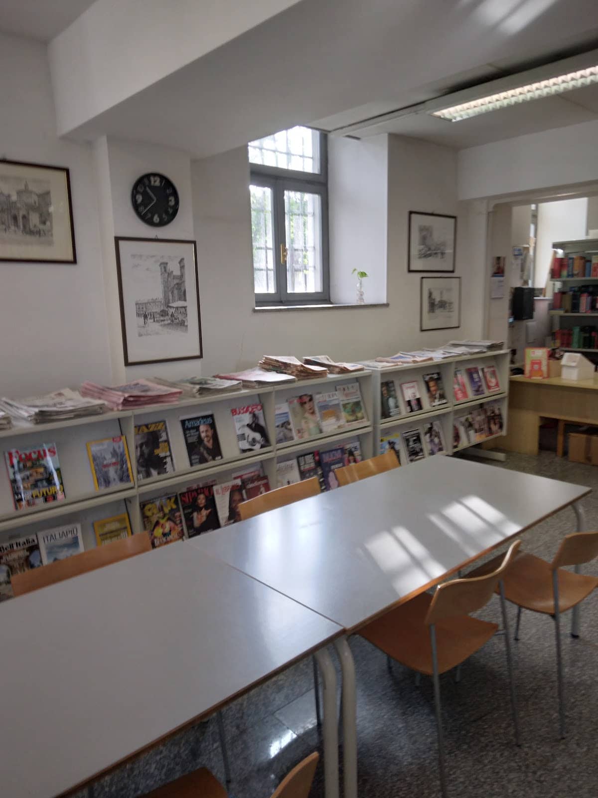 Extensive Magazine & Comics Collection