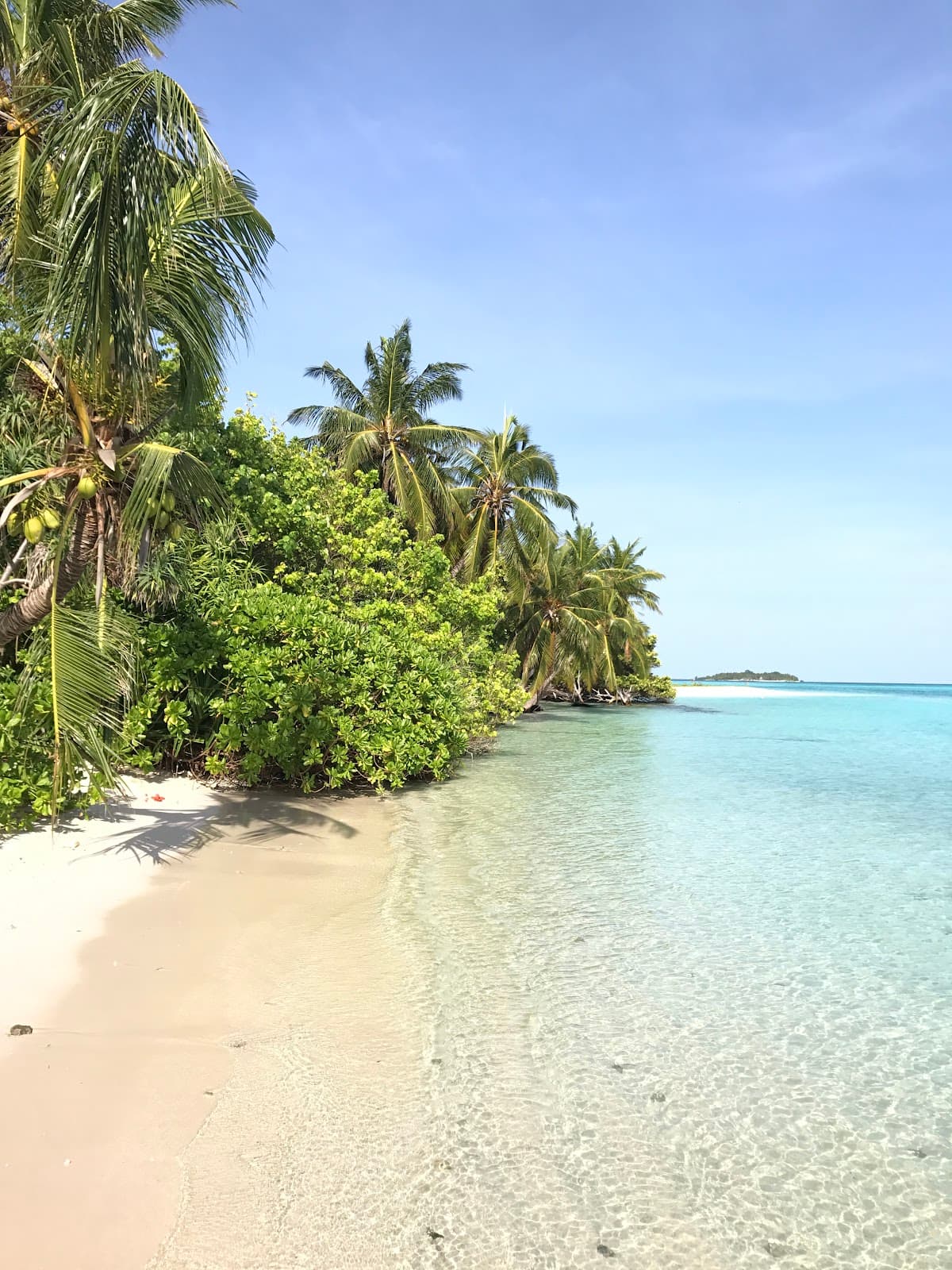 Bodufolhudhoo Island - Image 1