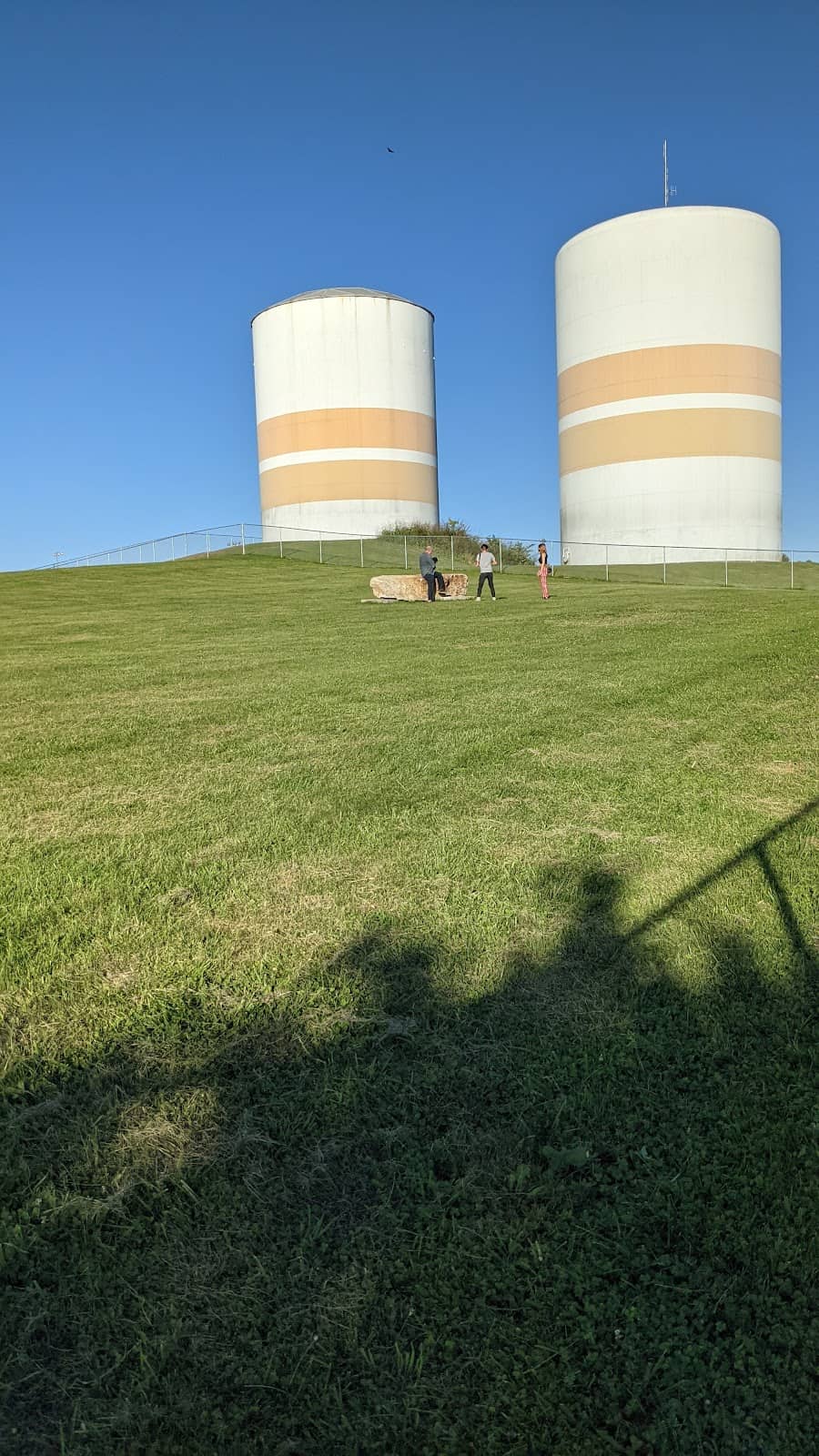 Vertical photo