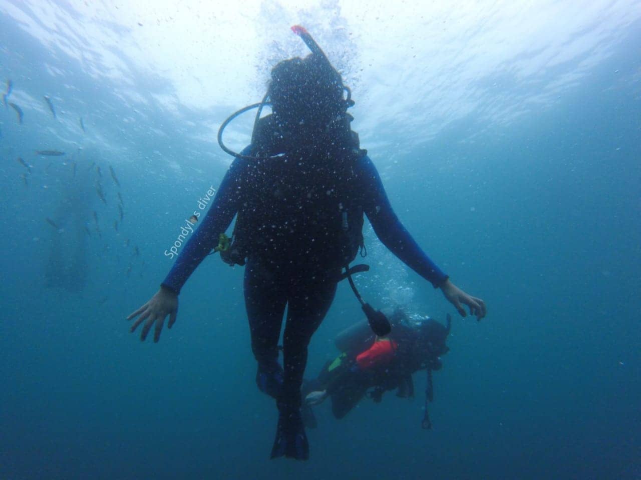 Montañita's Surf Vibe