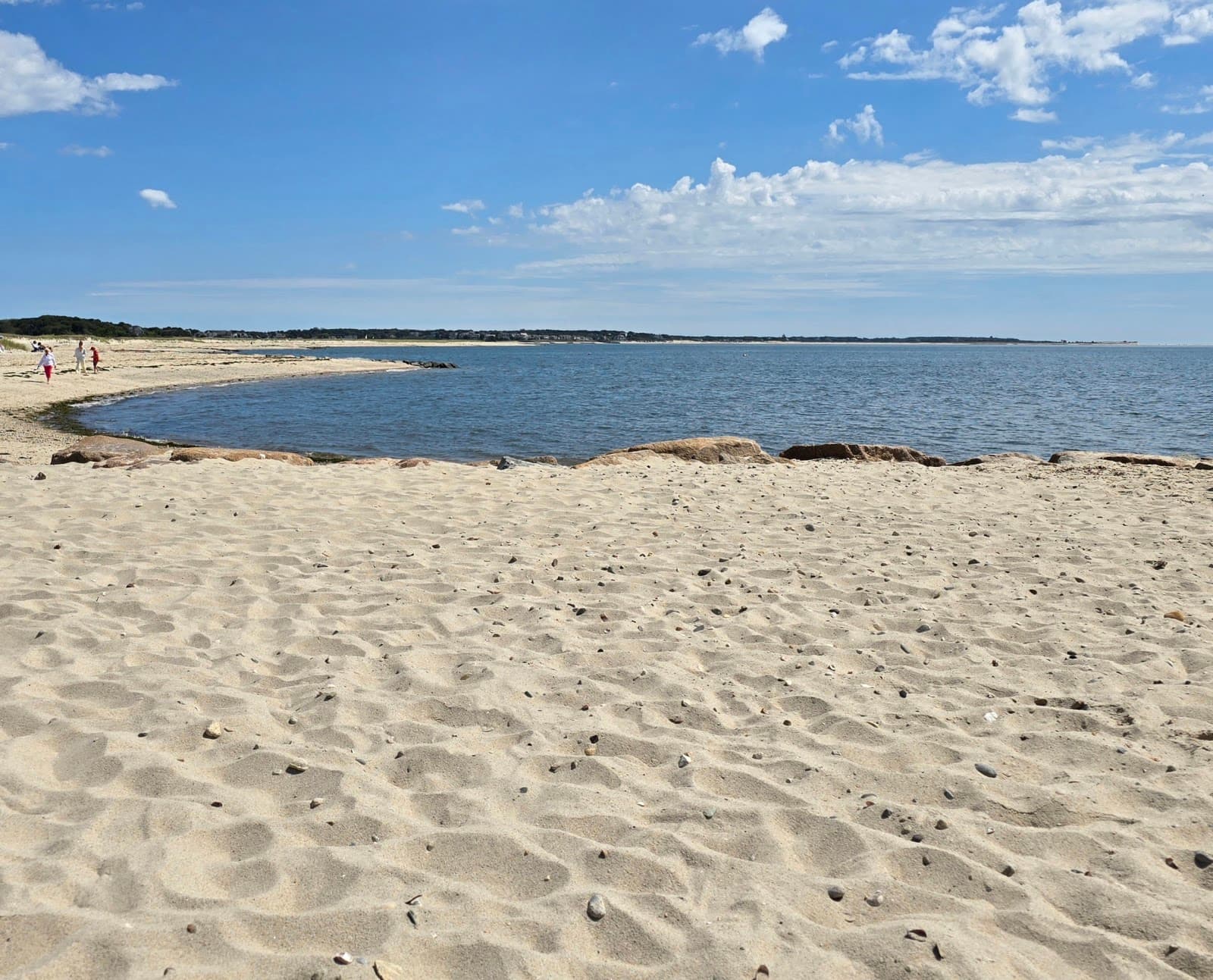 Forest Beach - Image 1