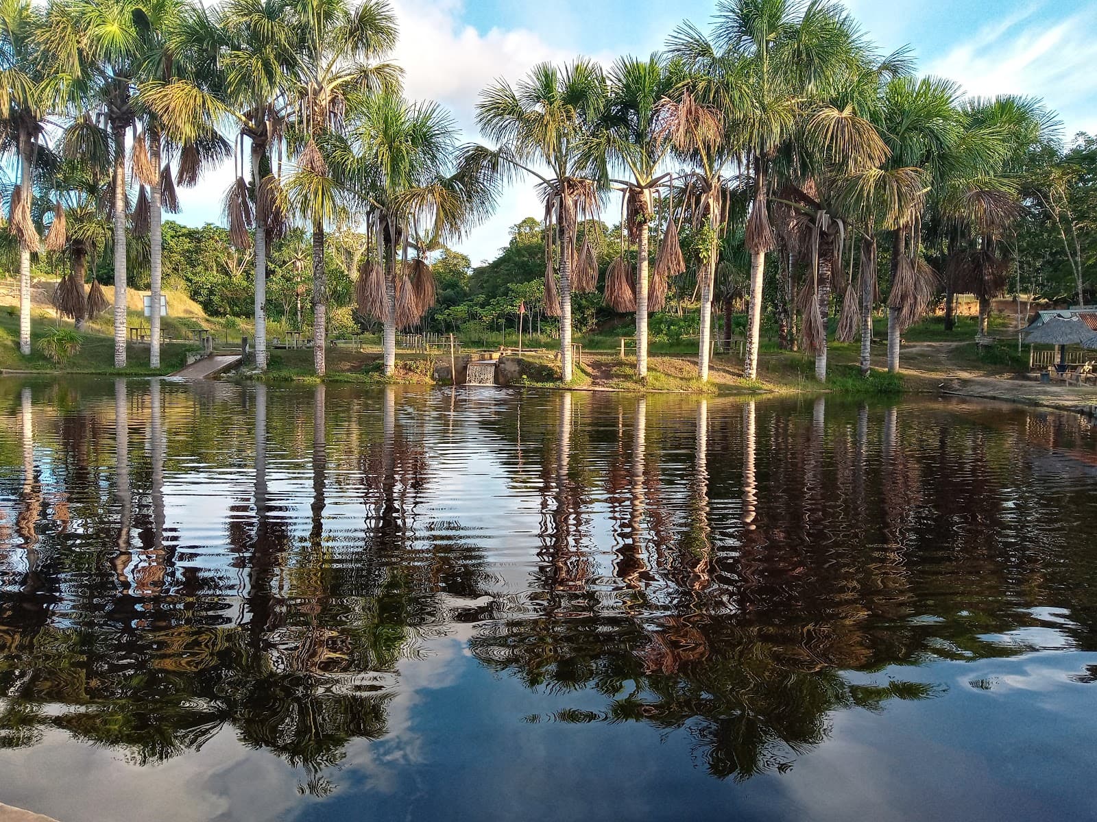 Zungarococha Lagoon - Image 1