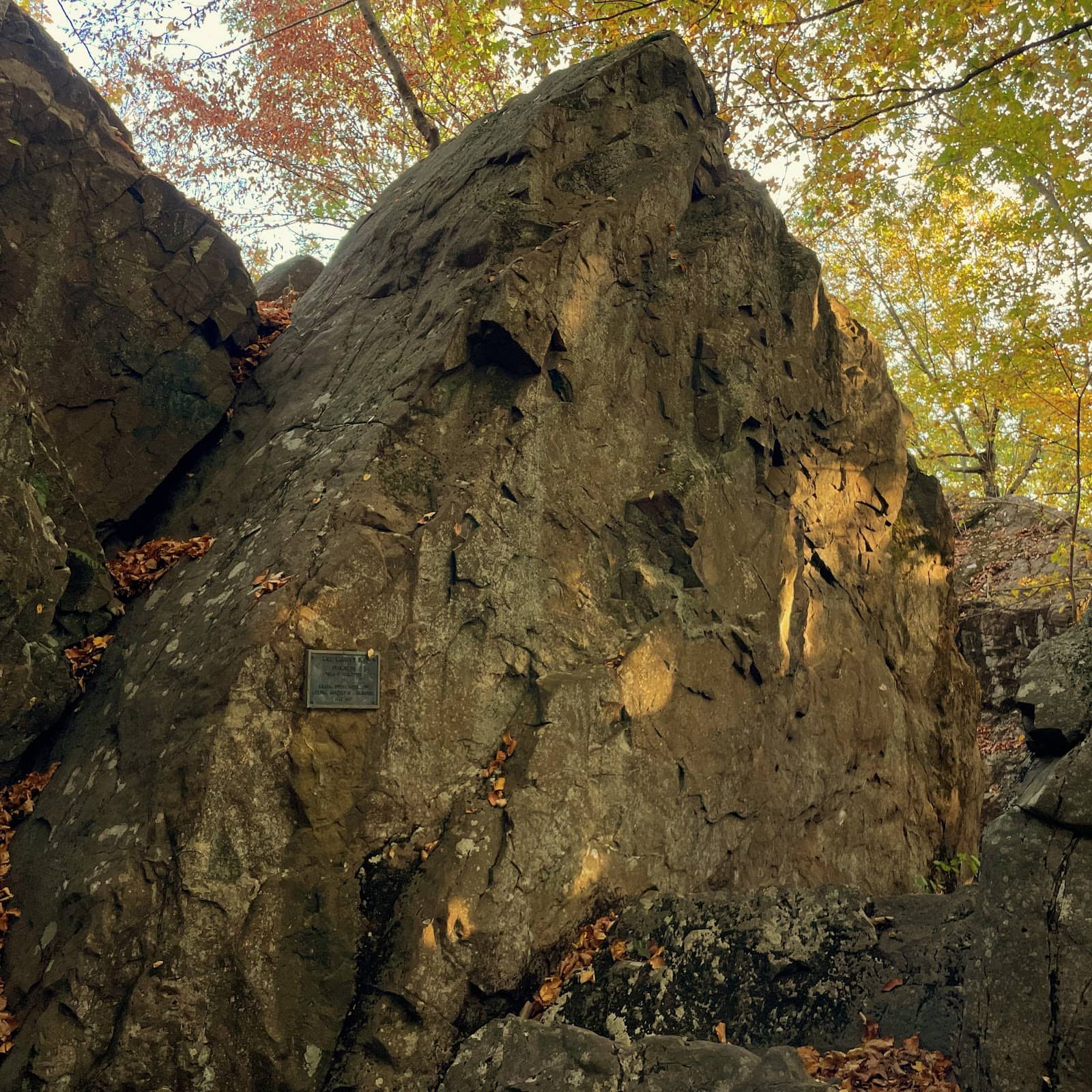 Vertical photo