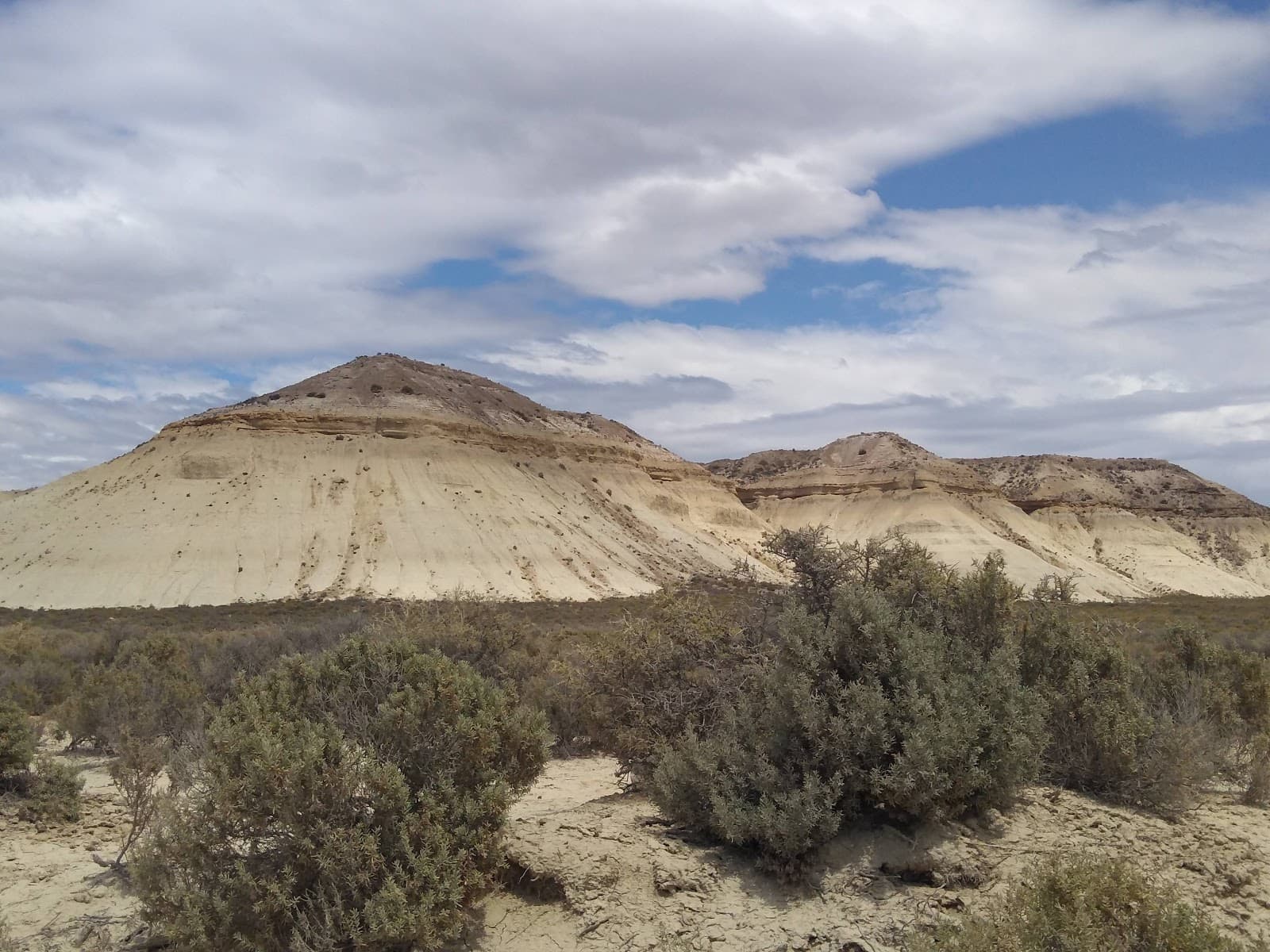 Cerro Avanzado Protected Area - Image 1