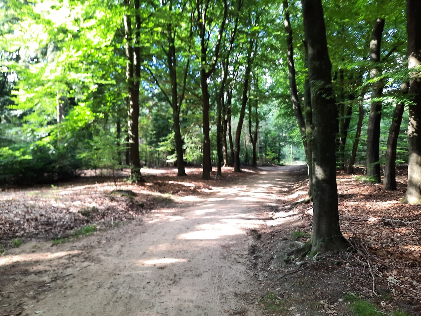 De Sysselt - Image 1