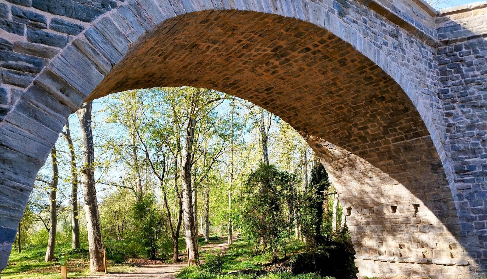 Exercise and Recreation