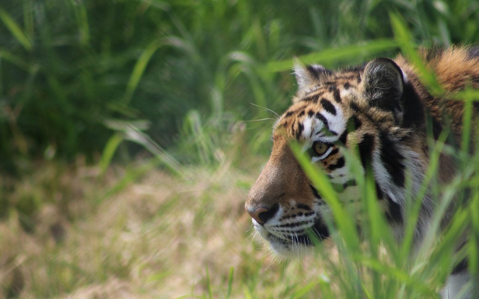 Greater Vancouver Zoo - Image 1
