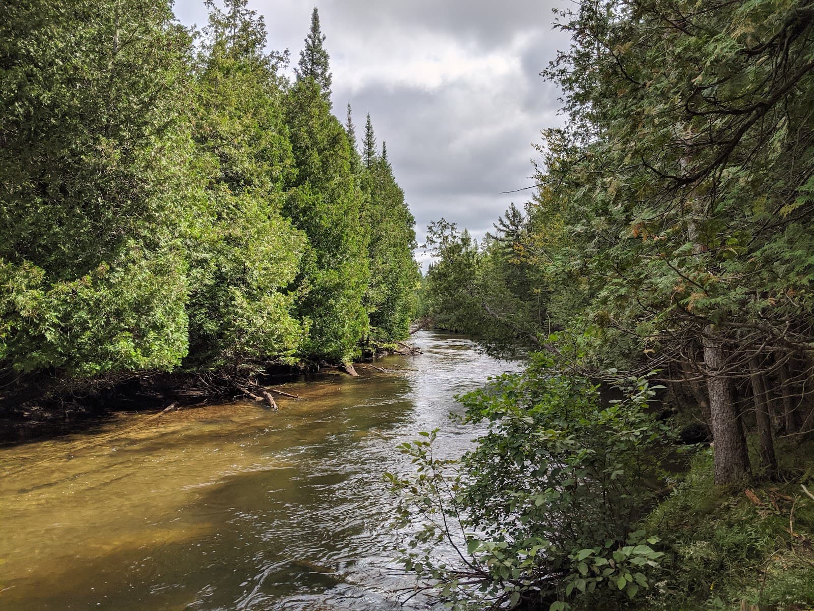 Boyne River Nature Trail - Image 1