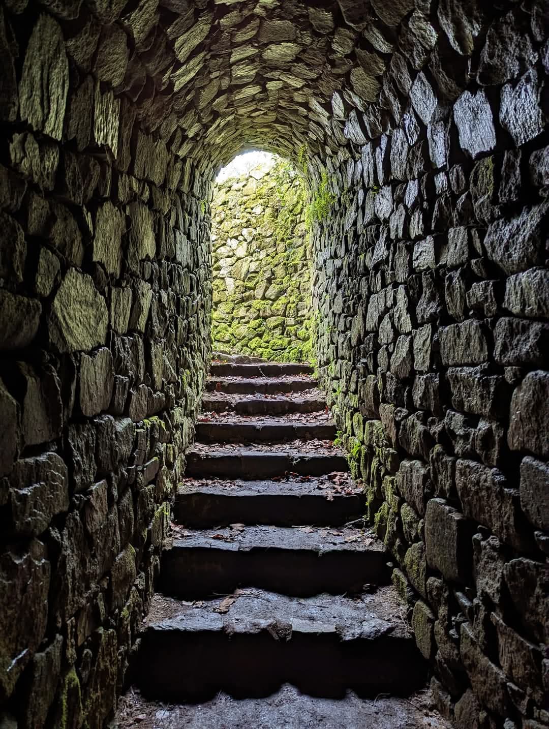 Tumulus de Mané er Hroek (Le Bono) - Image 1