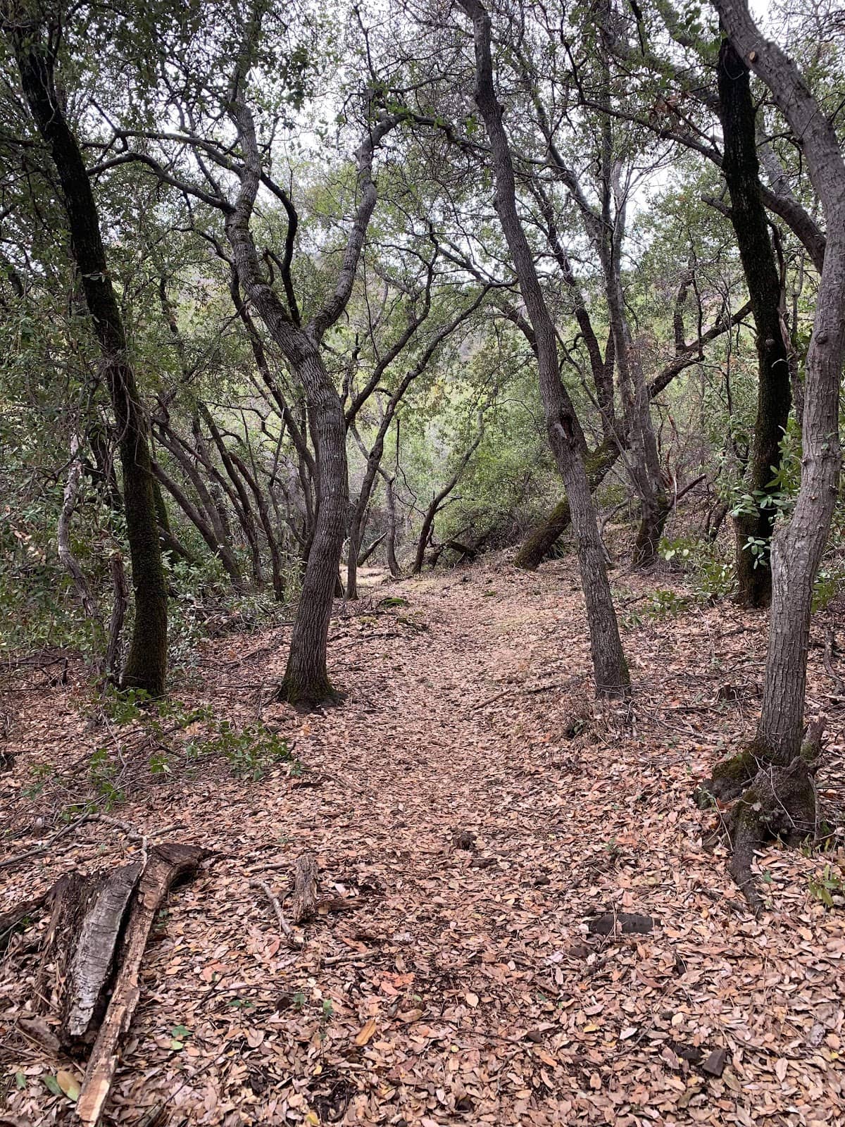 Panoramic Valley Views