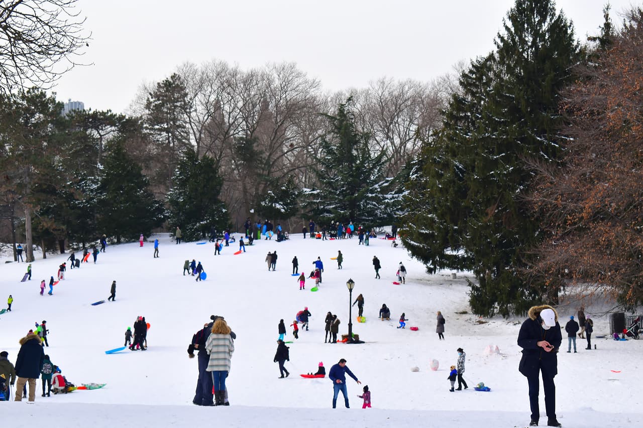 Cedar Hill - Image 1