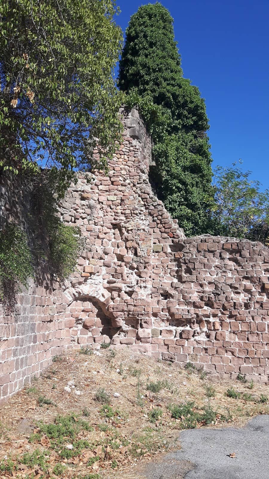 Vertical photo