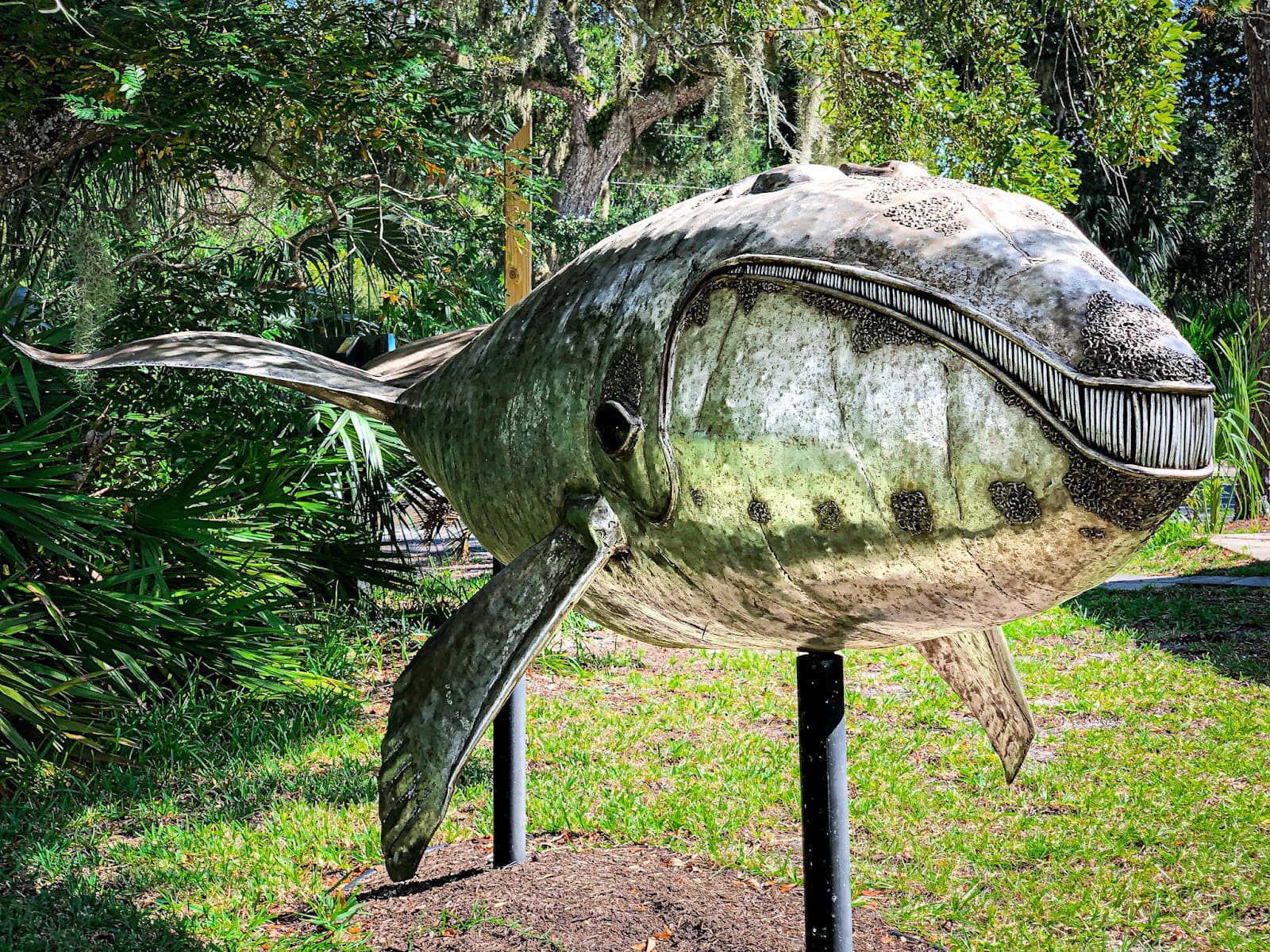 Tidelands Nature Center - Image 1